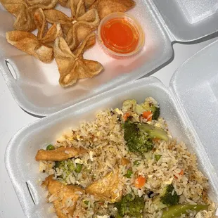 Wontons + Veggie Fried Rice