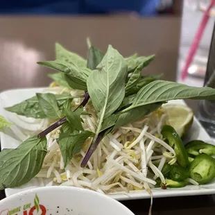 noodle dish, noodle soup, ramen and noodles, ramen, food, noodles