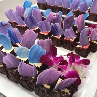 a variety of decorated cupcakes