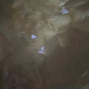 Egg shells  #24 Breakfast Burger wrap