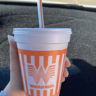 Small Malted Chocolate Shake