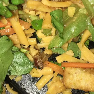 Salad with some protein?