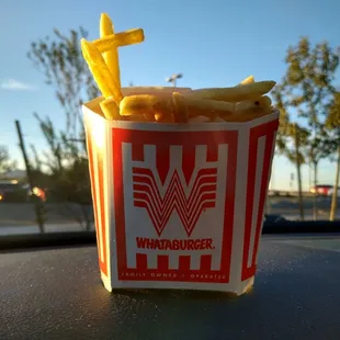 Medium Fries.
