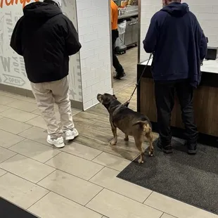 Isn&apos;t this illegal? No, not a service animal with these transients. Disgusting that animals are in a food establishment!