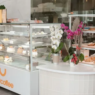 Cake and pastry cases