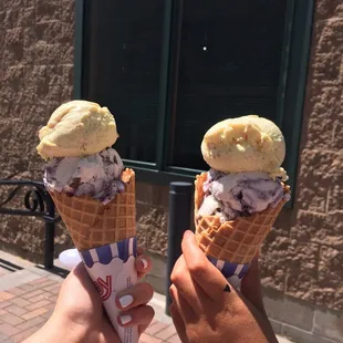 Lemon Cheesecake and Blueberry waffle cone
