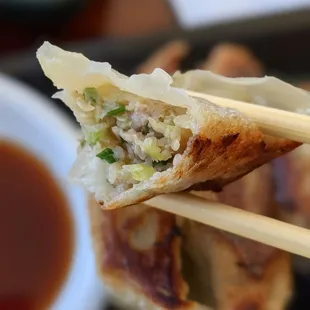 Gyoza, tasty
