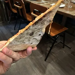 Look at this under carriage!