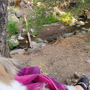 Here is my morning view of the creek.