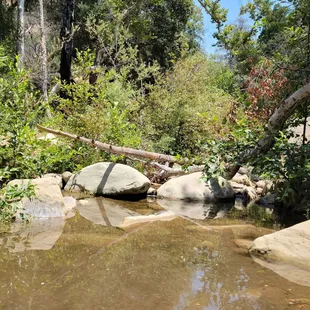 Creek running behind the campsite.
