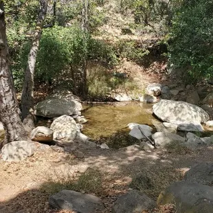Site 27- Entrance into the creek.