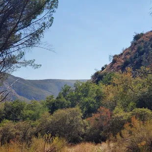Santa Ynez Mountains