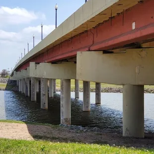 Overpass with bird nests under the overhang