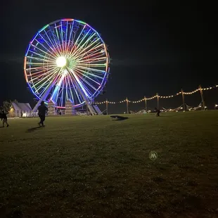 Ferris wheel at Wheeler Park
