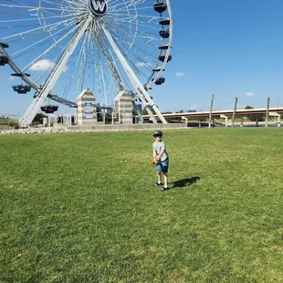 Lots of room to run and play and balls provided