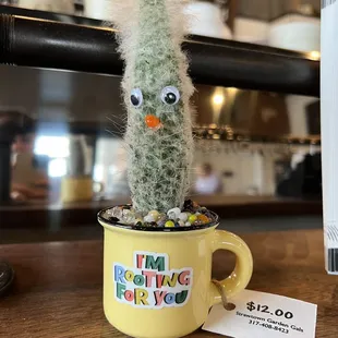 a cactus in a cup with a price tag