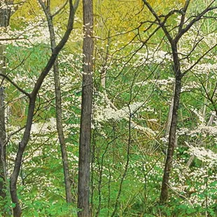 "Thicket 29" acrylic on canvas by Jeffrey Vaughn