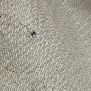 Dirty bed
