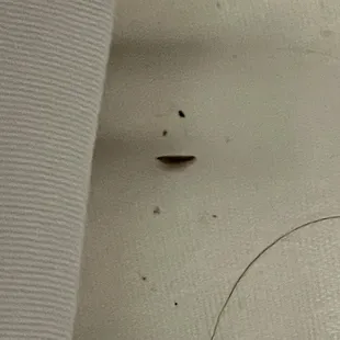 Appears to be mice dropping in bed linens