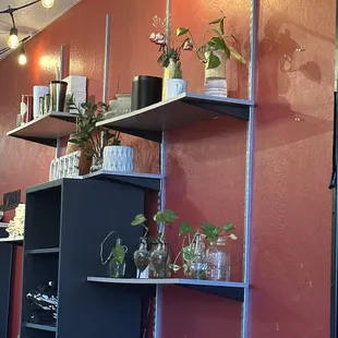 Plants