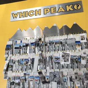 Which Wich