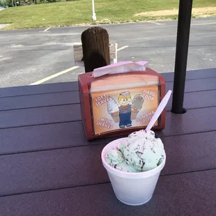 Vegan Mint Chocolate Chip With Almond Milk