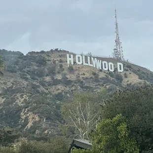 Hollywood California