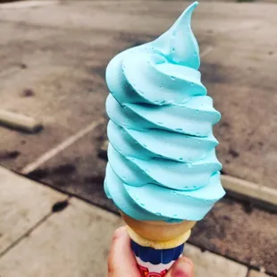 Blueberry ice cream!