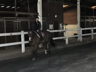 Five Oak Farms