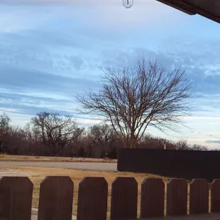 a view of the back yard