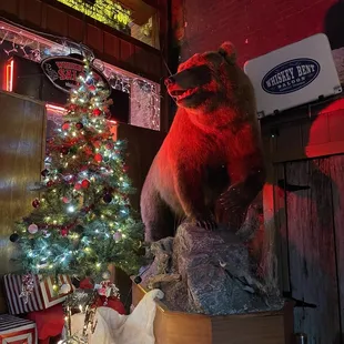 a christmas tree and a stuffed bear