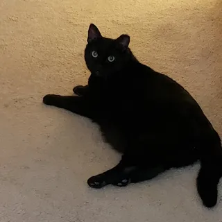 Pennie H.