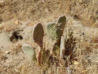 Kern River Outfitters