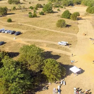 Silkies Shootout 2020