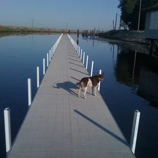 Our dog Kelpie enjoyed Whiskey Slough too!