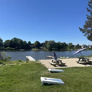 Family and dog-friendly area