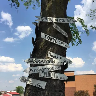 Tree outside is quite interesting