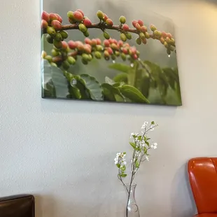 Inside the shop