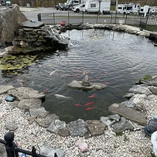 The koi pond at the entrance