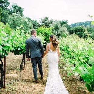 Beautiful vineyards are only one of the beautiful landscapes that we offer.