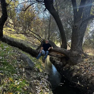 Nice creek/river view.