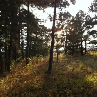 Sunset near horseshoe pit