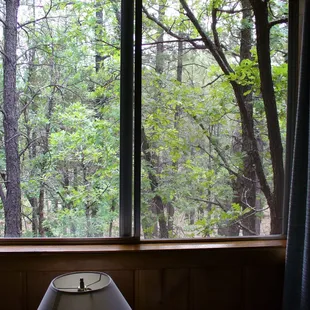 view out bedroom window