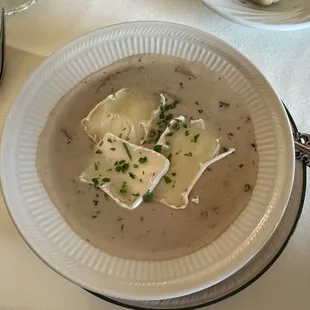 Mushroom Soup of the Day