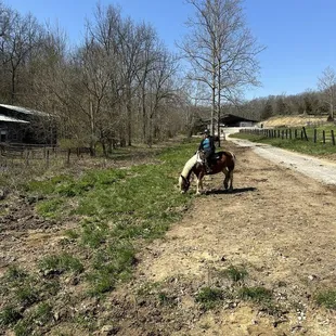 Bandit enjoying some fresh greens