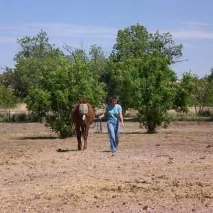 Toni, B&amp;B proprietor and one of her rescued horses