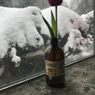 A Whistle Stop Winter