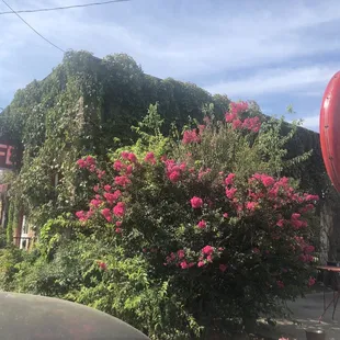 Front entrance just under the café sign with all the blooms on the outside you might miss it! But trust me you got to stop in and eat here!