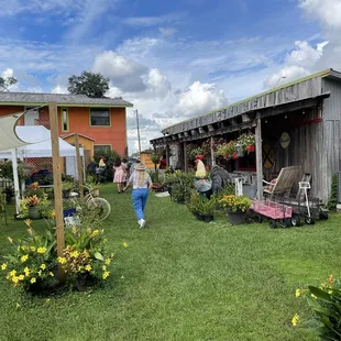 View from the tea room