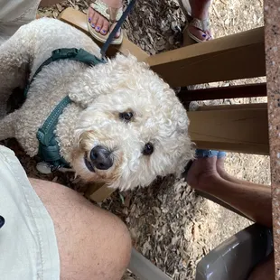 Brodie looking for a taste
